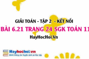 Bài 6.21 trang 24 Toán 11 tập 2 Kết nối tri thức